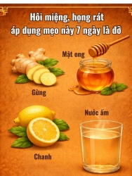 Hôi miệng, răng mòn, rát họng kéo dài có thể bắt nguồn từ trào ngược dạ dày – thực quản. Tìm hiểu nguyên nhân và phương pháp dân gian đơn giản giúp...