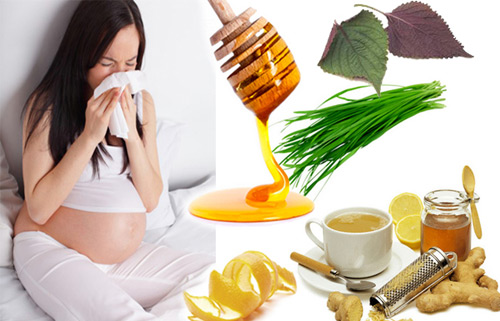 Ho dai dẳng, khó chịu? Chỉ với 1 thìa Kha tử, hoa đu đủ đực, xuyên bối mẫu, mạch môn ngâm mật ong – Cơn ho biến mất, cổ họng nhẹ tênh