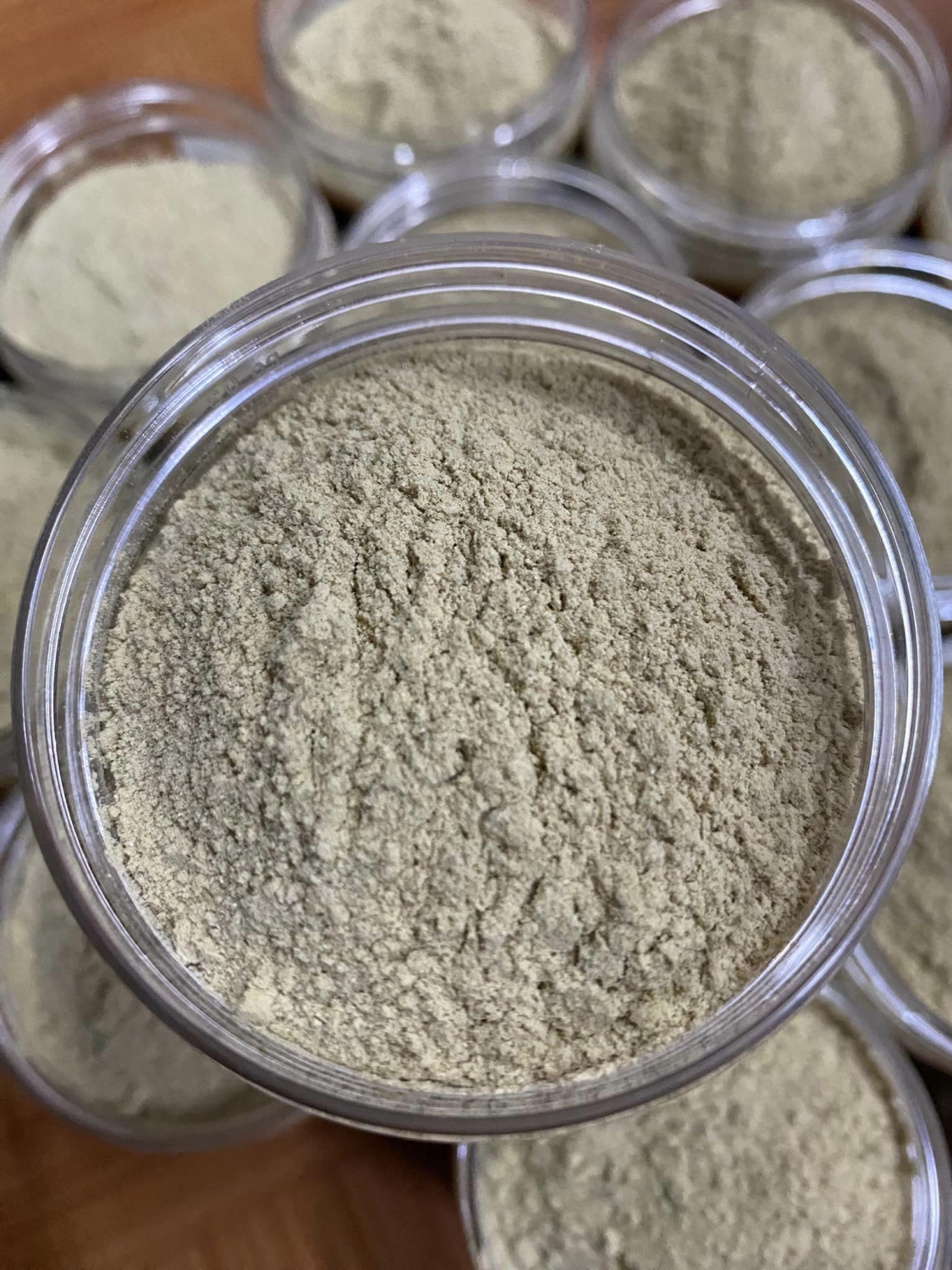 Bột đặc trị dạ dày va dai trang